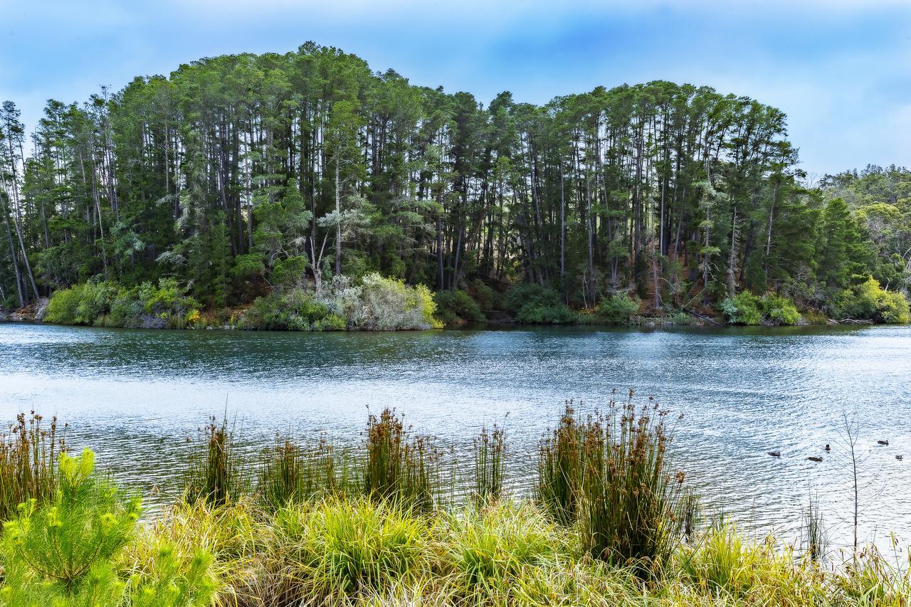 The Sebel Creswick Forest Resort Екстер'єр фото